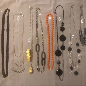 Assorted Long Necklaces